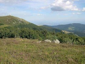 Image illustrative de l'article Parc naturel régional des ballons des Vosges