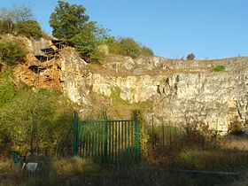 Image illustrative de l'article Grotte d'Artenac