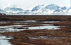 Image illustrative de l'article Parc national de Nordenskiöld Land