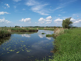 Image illustrative de l'article Parc national de la vallée de la Basse-Oder