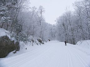 Skieur dans le parc de la Gatinaau