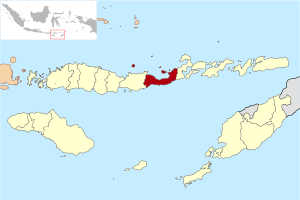 Situation de Sikka dans les petites îles de la Sonde orientales.