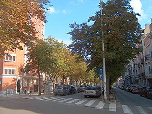 L'avenue Eugène Plasky vue depuis la place de Jamblinne de Meux