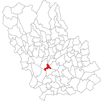 Localisation de Blejoi