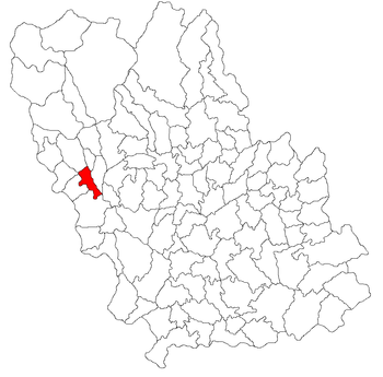 Localisation de Poiana Câmpina