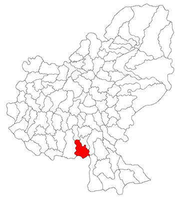Localisation de Viișoara