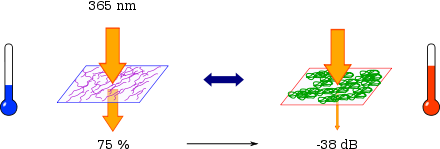 Pour T < LCST, le PNIPAM est transparent et laisse passer 75 % du signal lumineux à 365 nm. À T > LCST, le PNIPAM se replie et devient opaque, provoquant une atténuation de -38dB par rapport à l'état transparent.