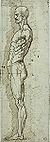 Enea Talpino - Codex Vallardi 2569 r.jpg