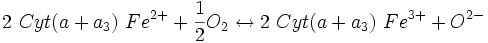2~Cyt(a+a_{3})~Fe^{2+} + {1 \over 2}O_{2}  \leftrightarrow 2~Cyt(a+a_{3})~Fe^{3+} + O^{2-}
