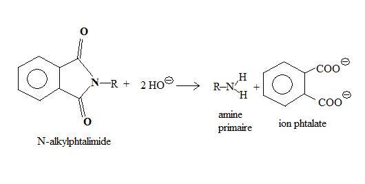 Hydrolyse alkylphtalimide.jpg
