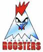 Iserlohn roosters logo.jpg