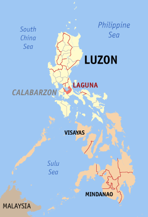 Localisation de Laguna (en rouge) dans les Philippines.