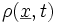 \rho(\underline{x},t)