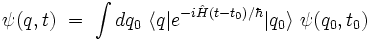  \psi(q,t) \ = \ \int dq_0 \ \langle q |e^{-i\hat{H} (t-t_0) /\hbar} |q_0 \rangle \  \psi(q_0,t_0) 