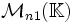 \mathcal{M}_{n1}(\mathbb{K})