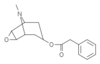 3-phenylaceto-6-7-epoxytropane.png