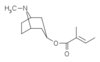 3-tigloyloxytropane.png
