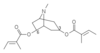 3 6-ditigloyloxytropaneN.png