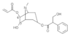 7-hydroxy-6-propenyloxy-3-tropoyloxytropane.png