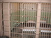 Alcatraz Cell 2005.JPG