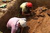 Archeologists working at Boteshwar site 0104.jpg