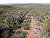 Badgingarra National Park view over Badgingarra.JPG