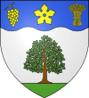 Blason ville fr vallières les grandes (loir-et-cher).svg