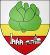 Blason