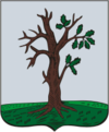 Coat of Arms of Starodub (Bryansk oblast) (1782).png