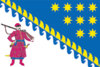 drapeau de Oblast de Dnipropetrovsk