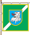 Flag of Zbryzh.gif