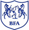Football Botswana federation.png