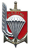 Insigne régimentaire du 3e RPIMA.JPG