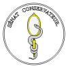 Médaille en vermeil en l'honneur du Sénat conservateur (Constitution de l'an VIII).