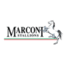 Logo du Marconi Stallions