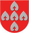 Blason de Pyhäselkä