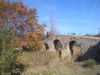 Pont-Vieux de Rieux-en-Val