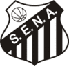 Sociedade Esportiva Nova Andradina.gif