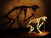 Thylacoleo skeleton in Naracoorte Caves.jpg