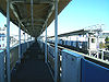 Tokyo-monorail-Showajima-station-platform.jpg