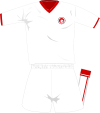 Tunisia home kit 2008.svg