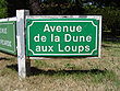 Le Touquet-Paris-Plage (Avenue de la Dune aux loups).JPG