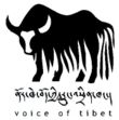Logo voice of tibet.jpg