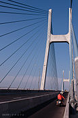 PhuMy bridge - Cầu Phú Mỹ.jpg
