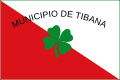 Drapeau de Tibaná