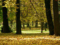 Central Park Cluj-Napoca.jpg