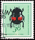 DDR-1968-005.jpg