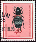 DDR-1968-006.jpg