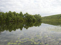 Don River in Polibino photo by Arssenev.jpg