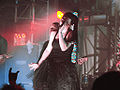Evanescence concert.jpg